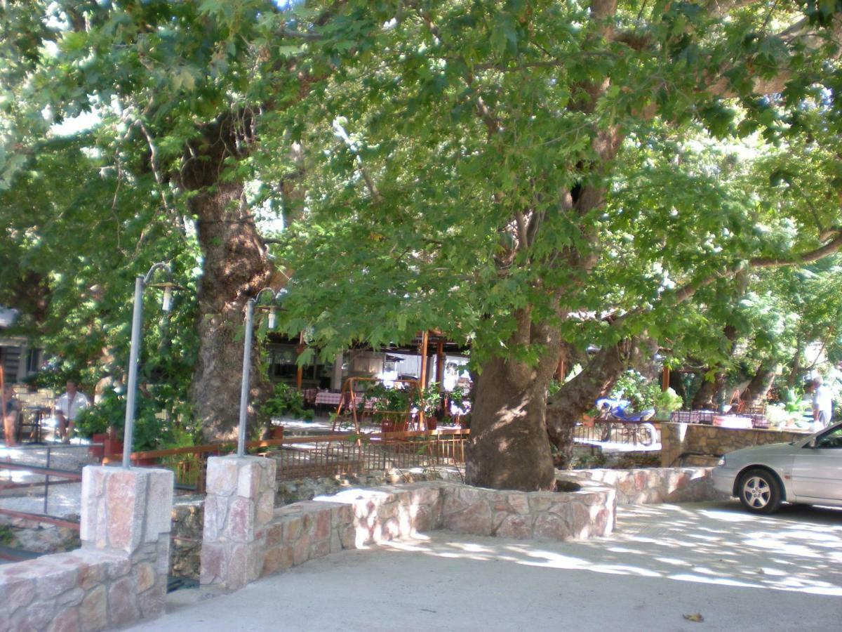 Hotel Difo à Loutra Edipsou  Extérieur photo