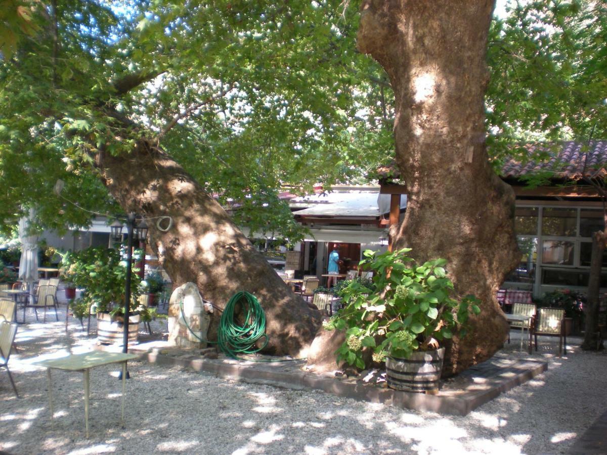 Hotel Difo à Loutra Edipsou  Extérieur photo